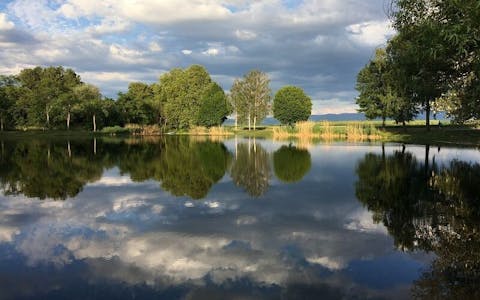 See in Rheinmünster