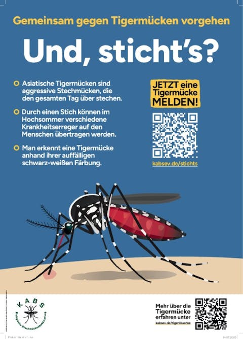 Tigermückenmeldung in Rheinmünster-Schwarzach - Bekämpfung und Prävention geht nur gemeinsam