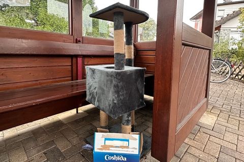 Kratzbaum für Katzen als Müllablagerung in Stollhofen