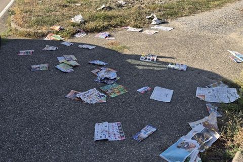 Wilde Müllablagerungen-Vandalismus von der Fähre bis zur Grotte in Greffern und entlang der L75 zwischen Greffern und Stollhofen