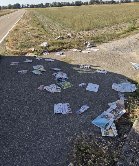 Wilde Müllablagerungen-Vandalismus von der Fähre bis zur Grotte in Greffern und entlang der L75 zwischen Greffern und Stollhofen