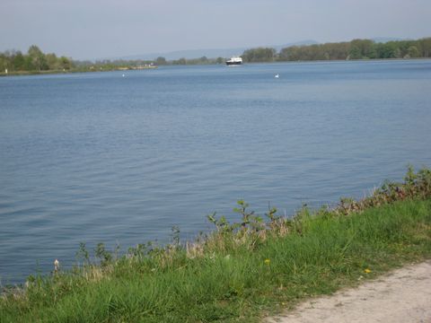 Blick auf den Rhein