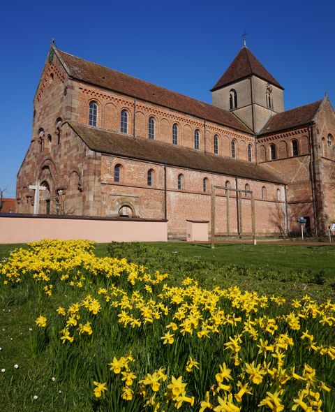 Münster im Frühjahr