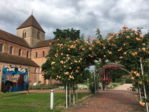 Besonders bei Hochzeitspaaren beliebt - der Klostergarten mit Rosenbögen