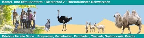 Kamel- und Straußenfarm